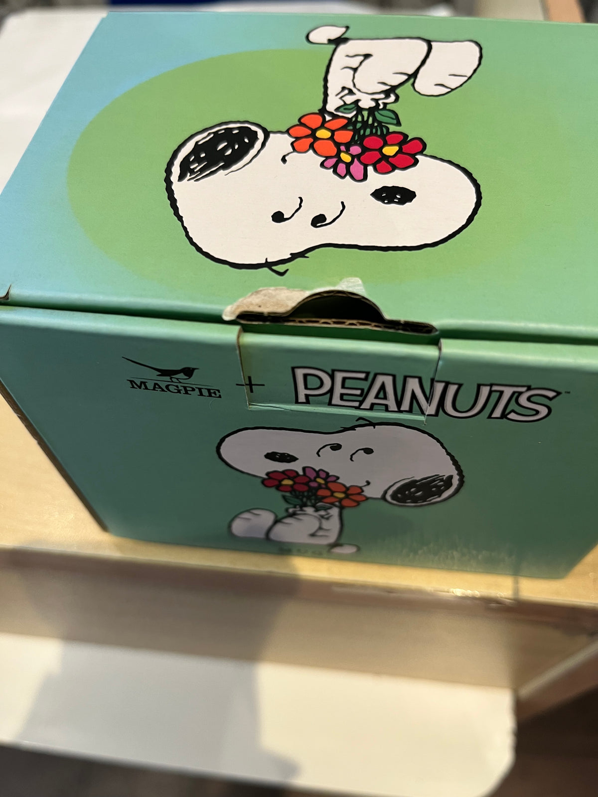 Peanuts Posy Mug