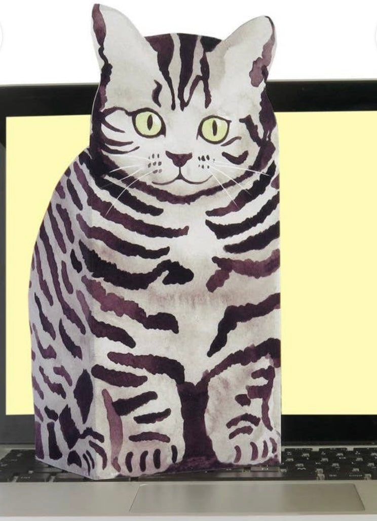 Pop Up Pet Tabby