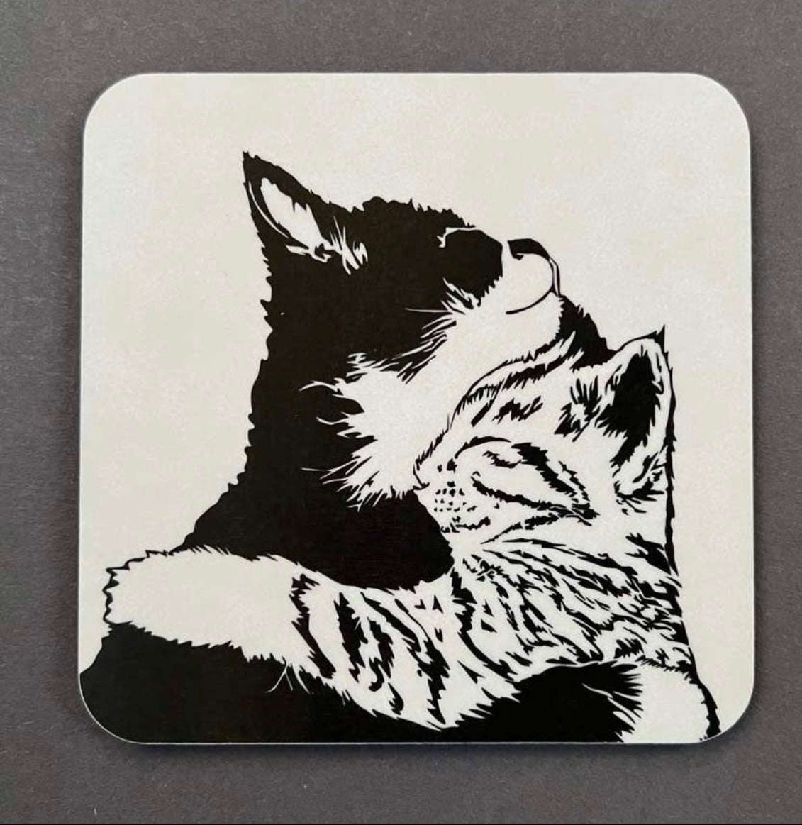 Cuddle Time Coaster