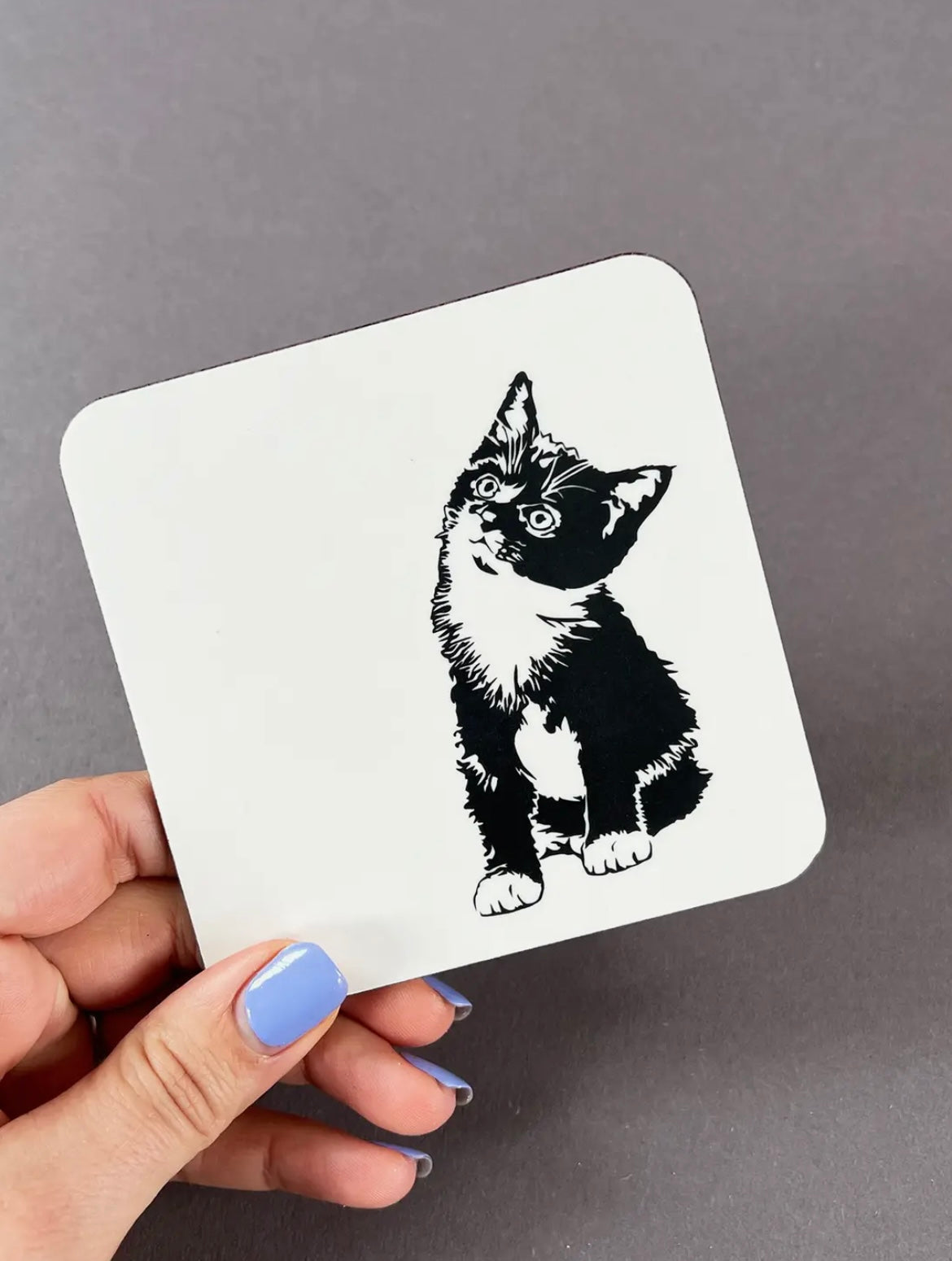 Molly Coaster