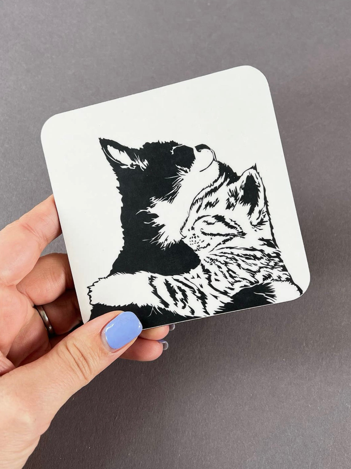 Cuddle Time Coaster