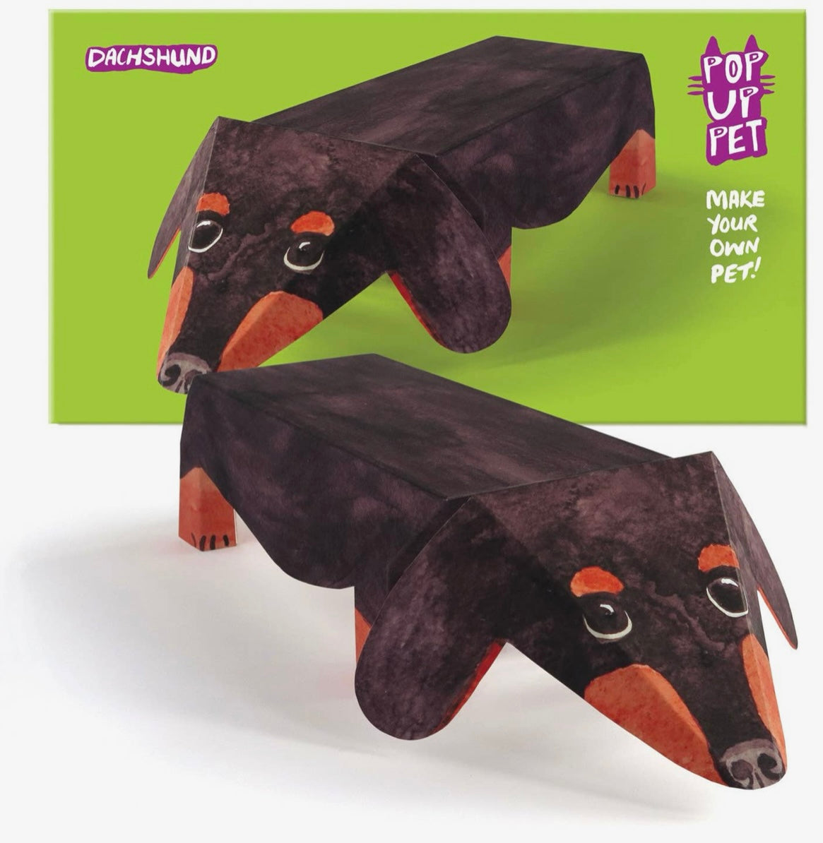 Pop Up Pet Dachshund