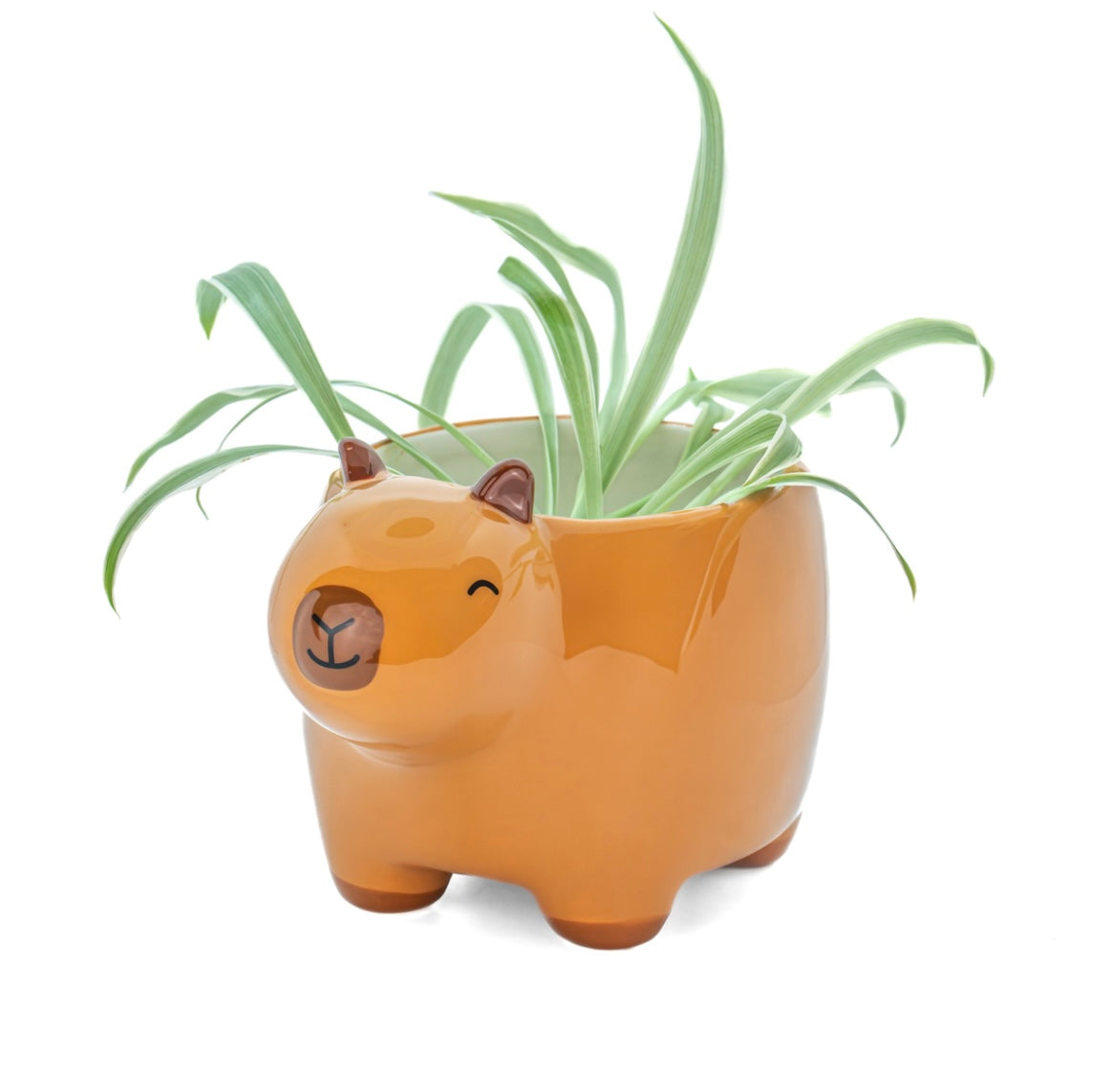 Capybara Planter