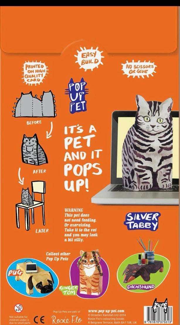 Pop Up Pet Tabby