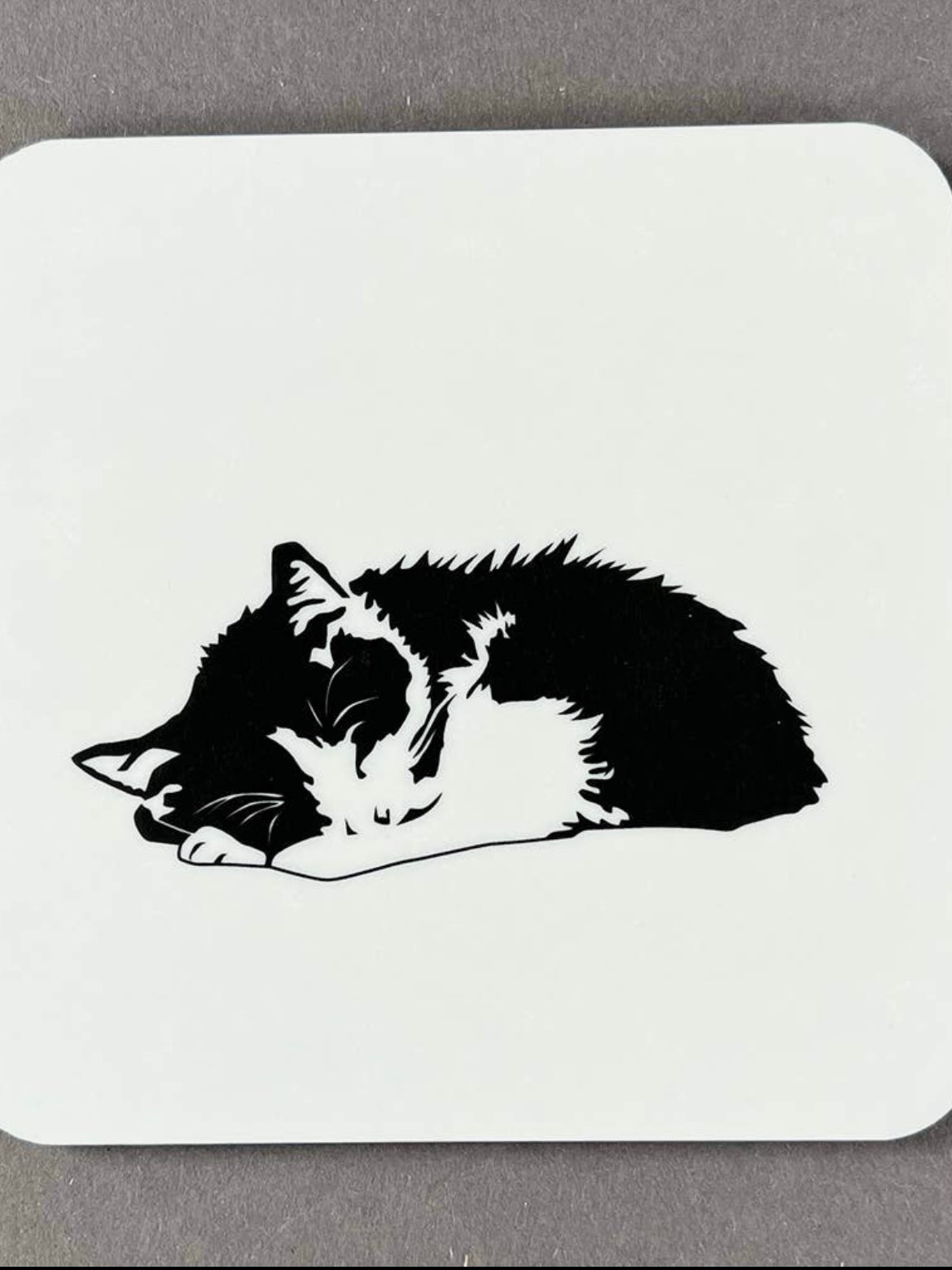 Casey Coaster