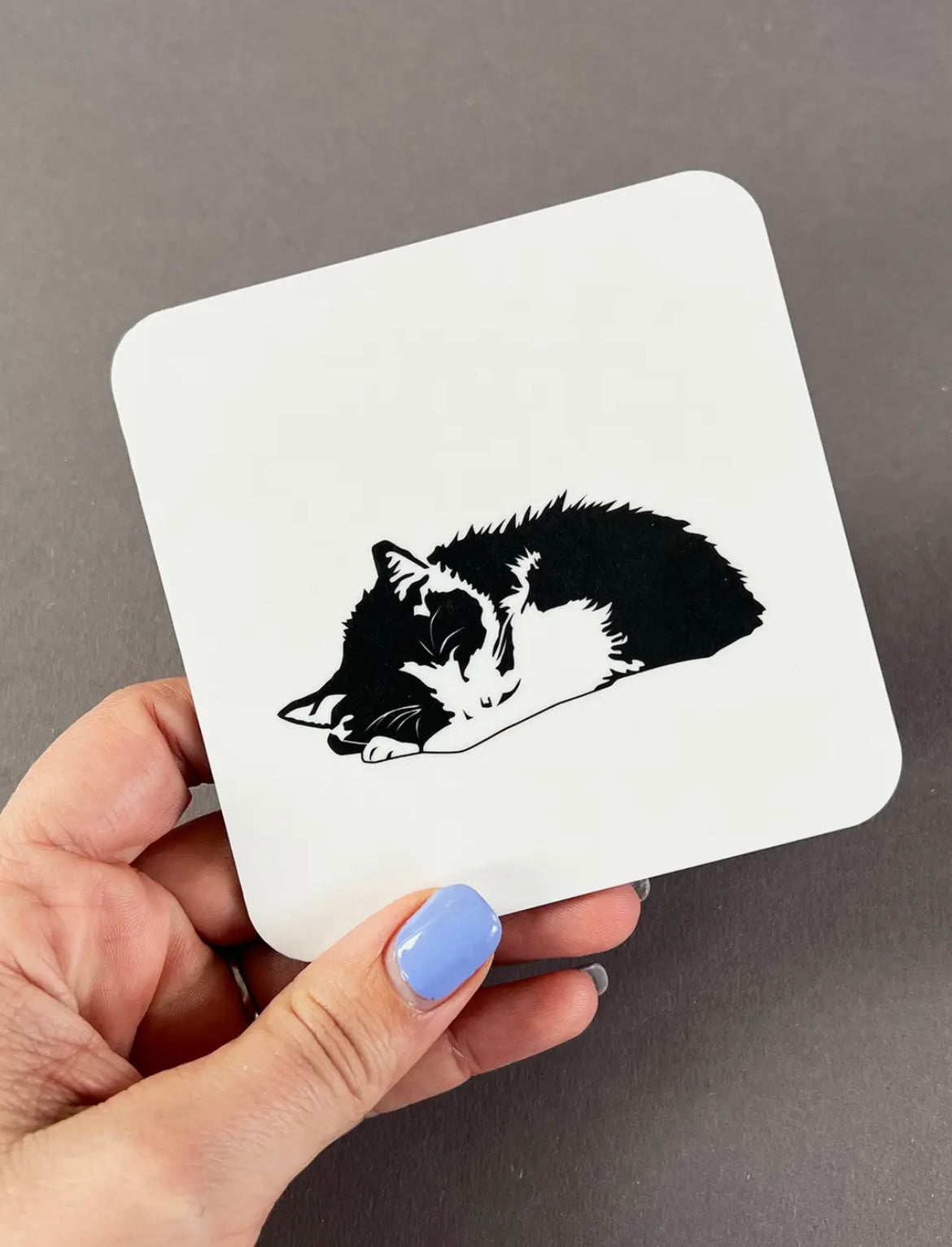 Casey Coaster