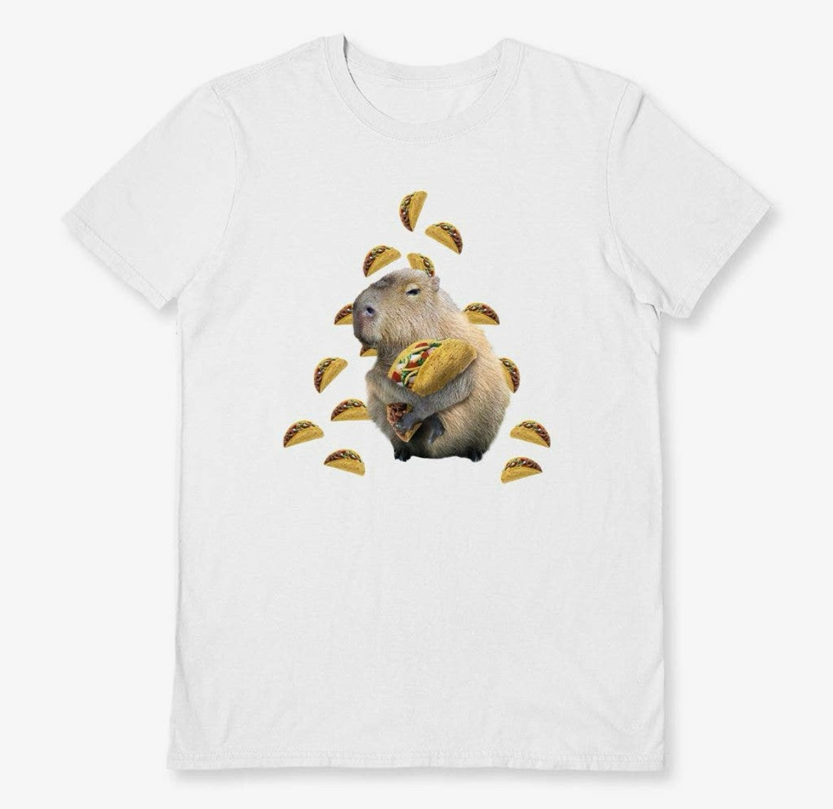 Capybara Tacos T-Shirt
