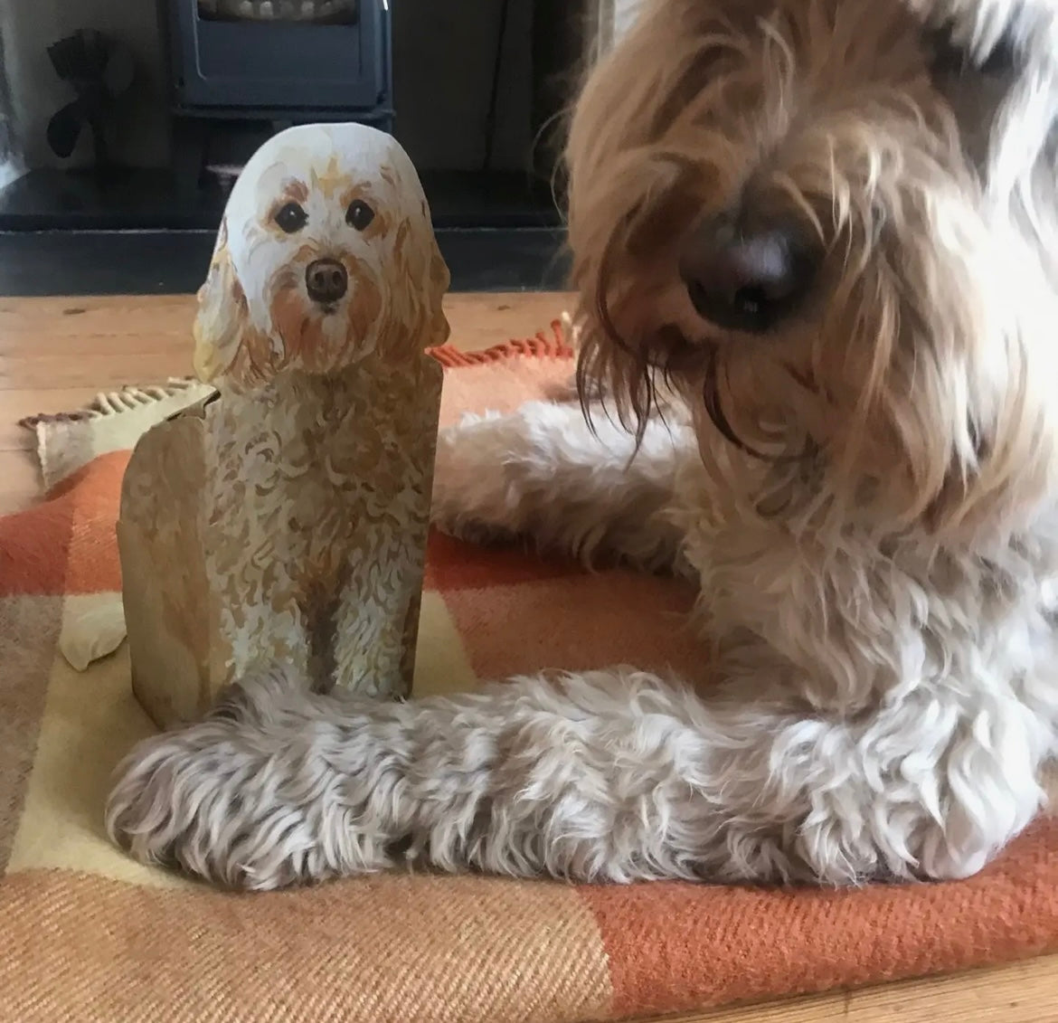 Pop Up Pet Cockapoo