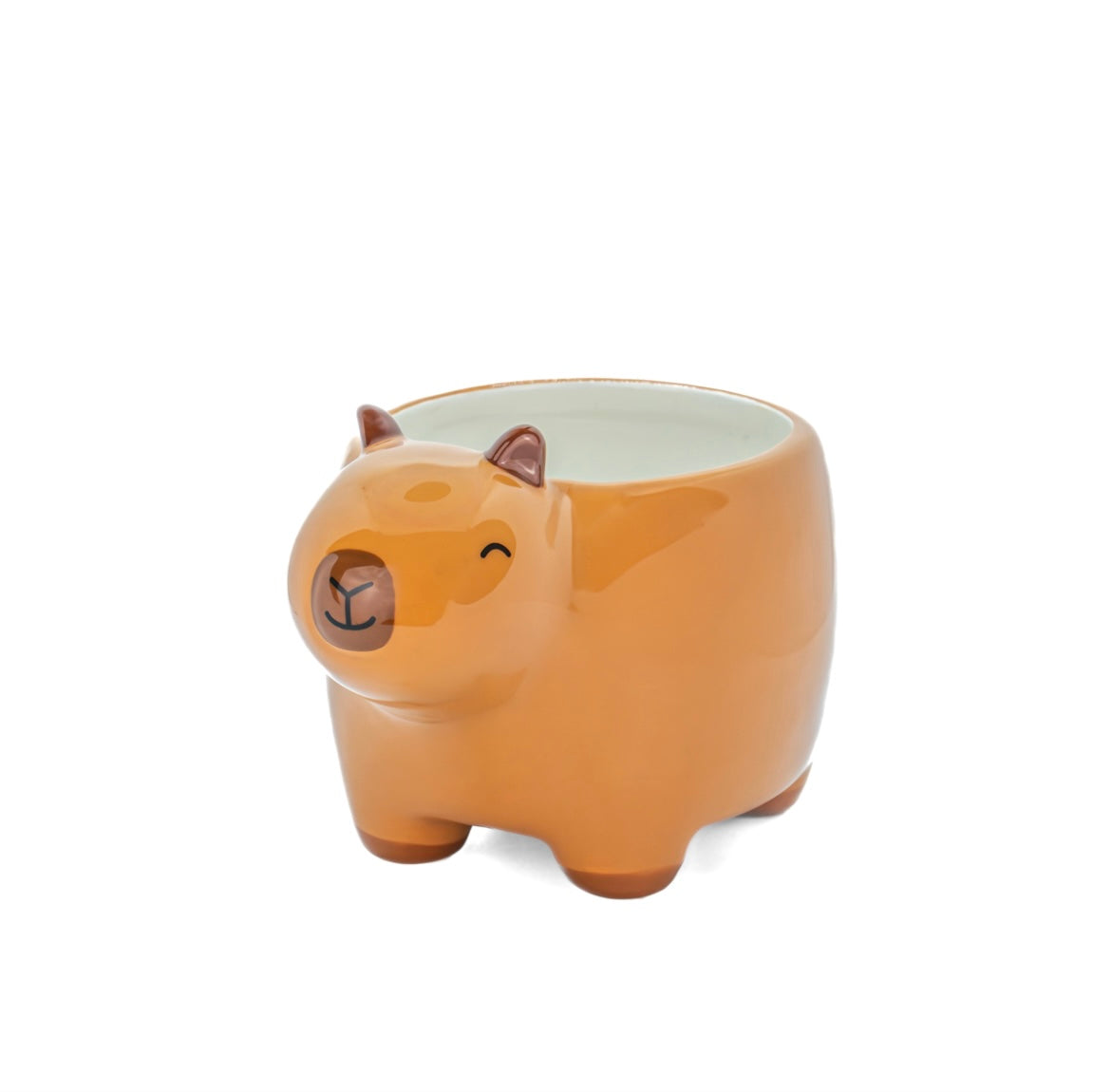 Capybara Planter