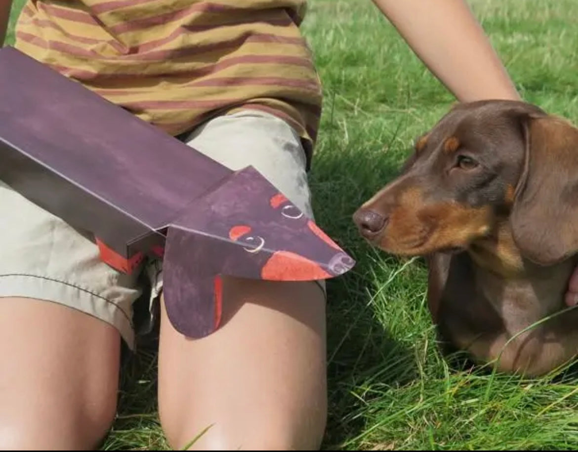 Pop Up Pet Dachshund